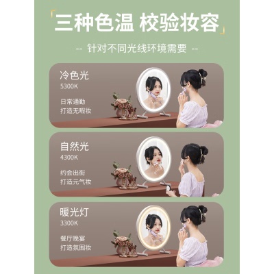 台式梳妆镜 带led灯化妆镜台式桌面学生大号梳妆镜子宿舍网红补光ins化妆圆镜 白色30cm-标准款【高清镜面】